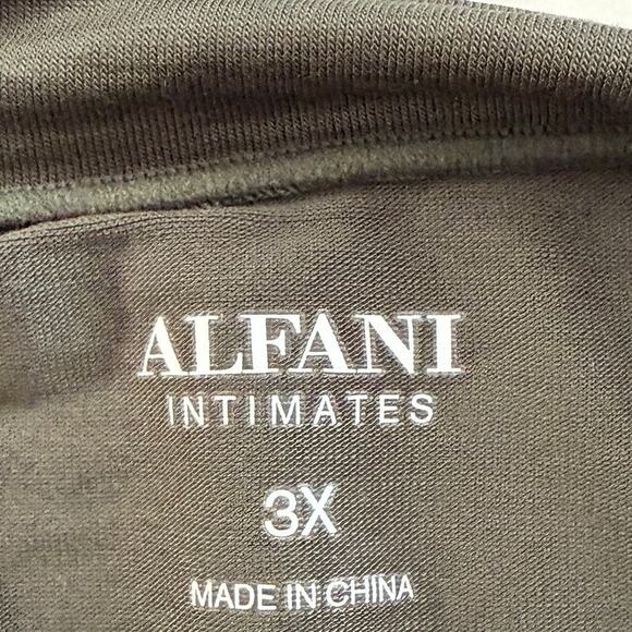 Alfani Intimates 3pc Lot Core Panty Bikini Hipster Olive Dusk Plus Sz 3X Panties - Picture 4 of 7